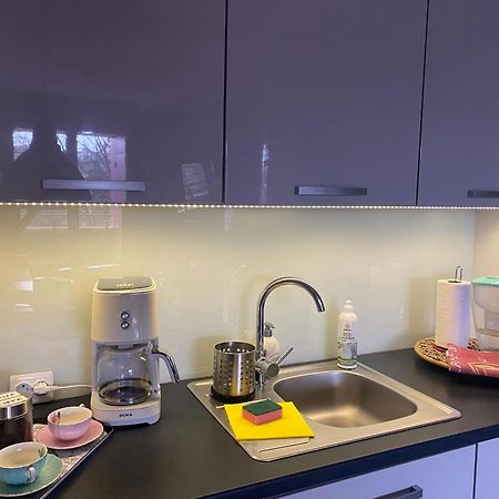 Dyrekcyjna Apartment فروتسواف المظهر الخارجي الصورة