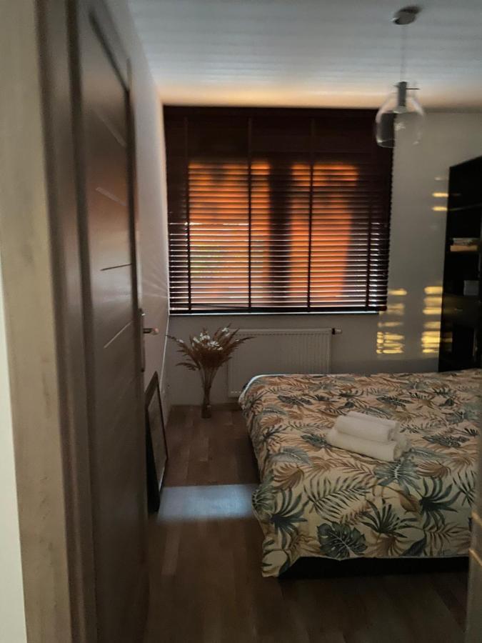 Dyrekcyjna Apartment فروتسواف المظهر الخارجي الصورة